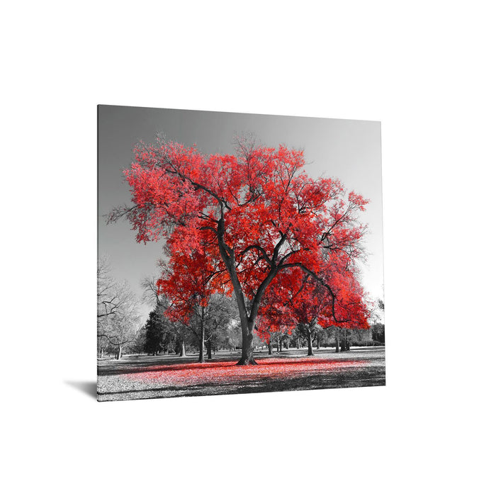 Temp Glass With Foil - Red Tree - Red