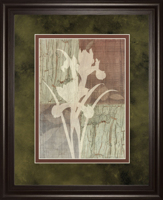 Iris Silhouette By Various - Framed Print Wall Art - White
