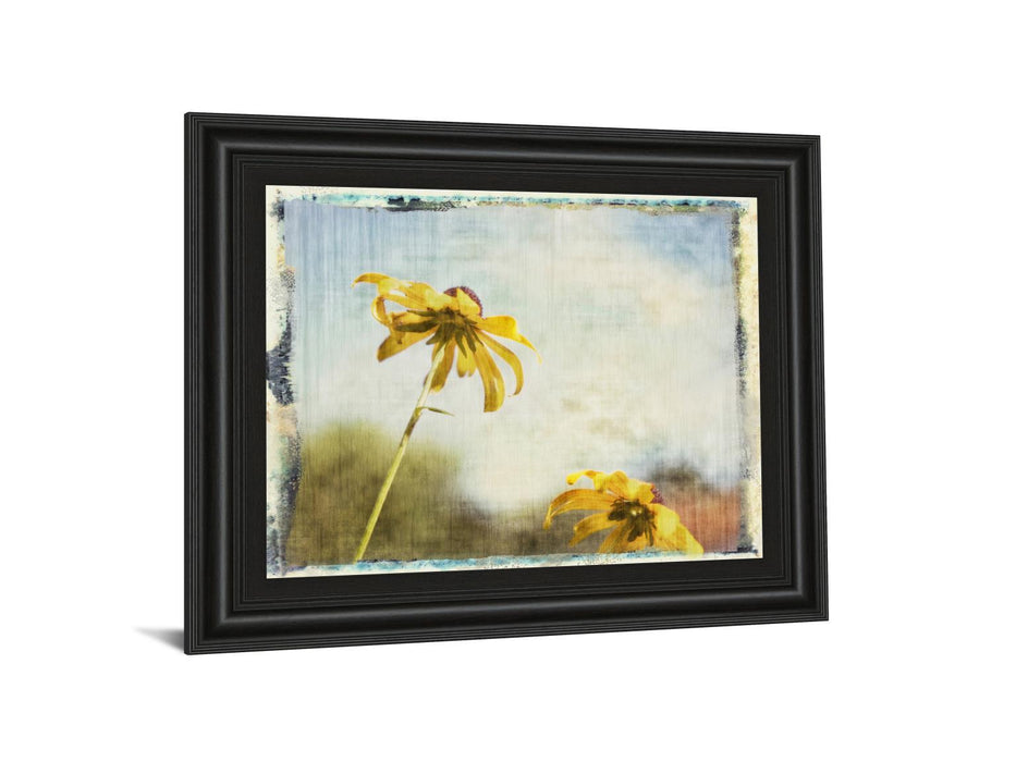 Blackeyed Susan Il By Meghan Mcsweeney - Framed Print Wall Art - Yellow