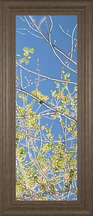 Spring Poplars IV By Sharon Chandler - Framed Print Wall Art - Green
