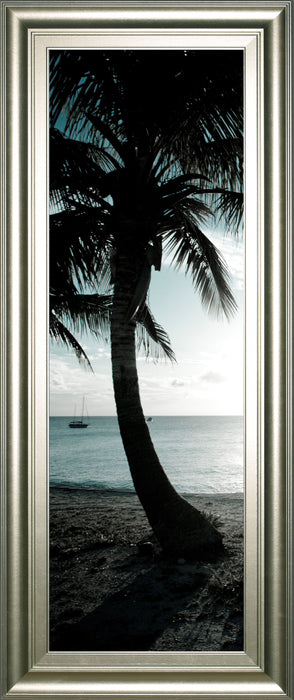 Cool Bimini Palms Il By Susan Bryant - Framed Print Wall Art - Black