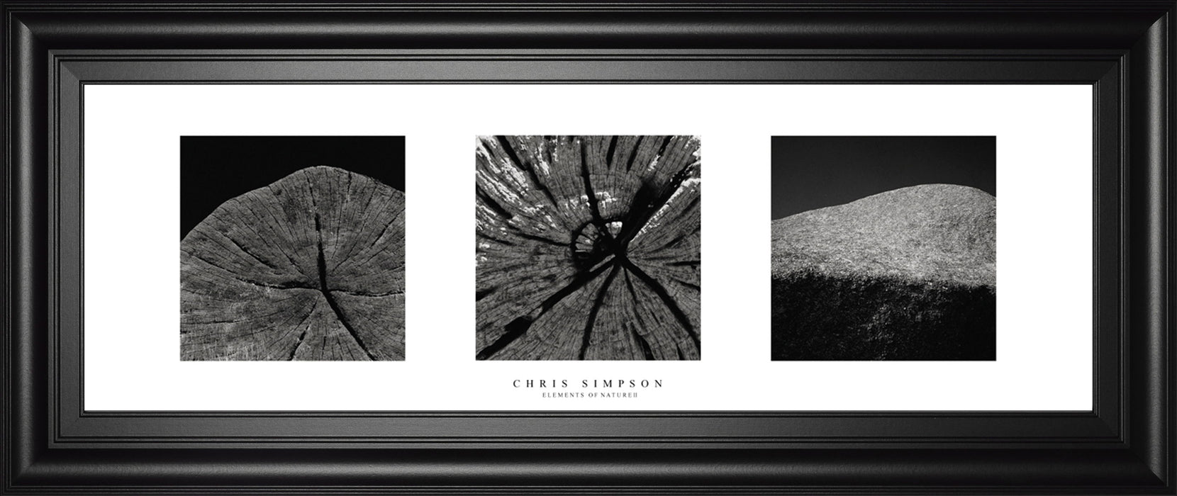 Elements Of Nature 2 By Chris Simpson - Framed Print Wall Art - Black