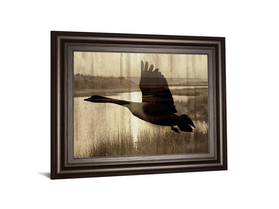 Journey By Tania Bello - Framed Goose Photo Print Wall Art - Black