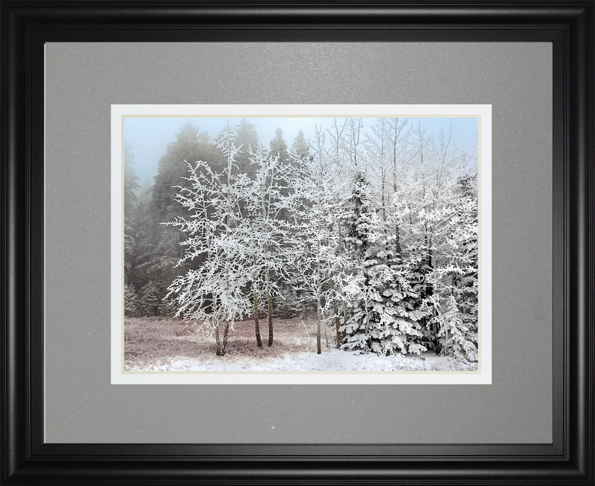 Frosty Morning By Mike Jone - Framed Print Wall Art - White
