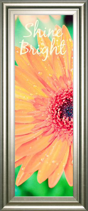 Shine Bright Daisy By Susan Bryant - Framed Print Wall Art - Orange