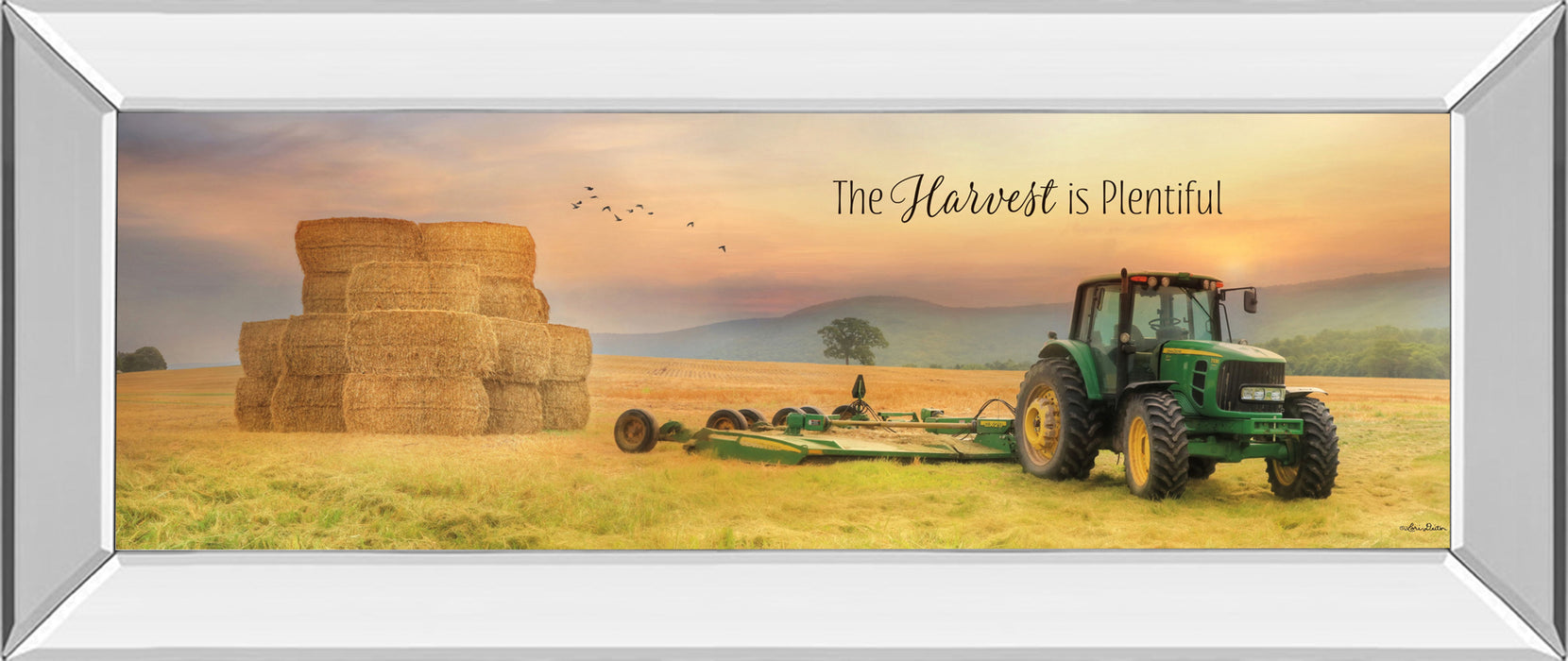 The Harvest Is Plentiful By Lori Deiter - Mirror Framed Print Wall Art - Gold