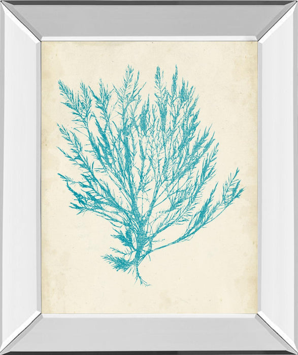 Aquamarine Seaweed IV By Vision Studio - Light Blue