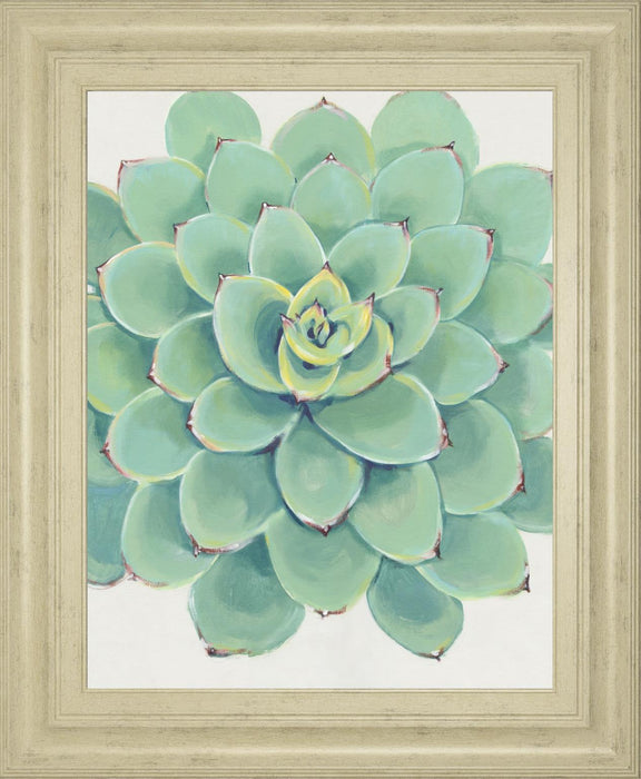 22x26 Pastel Succulent III By Tim OToole - Green