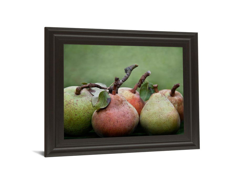 Comice Pear I By Rachel Perry - Framed Print Wall Art - Green
