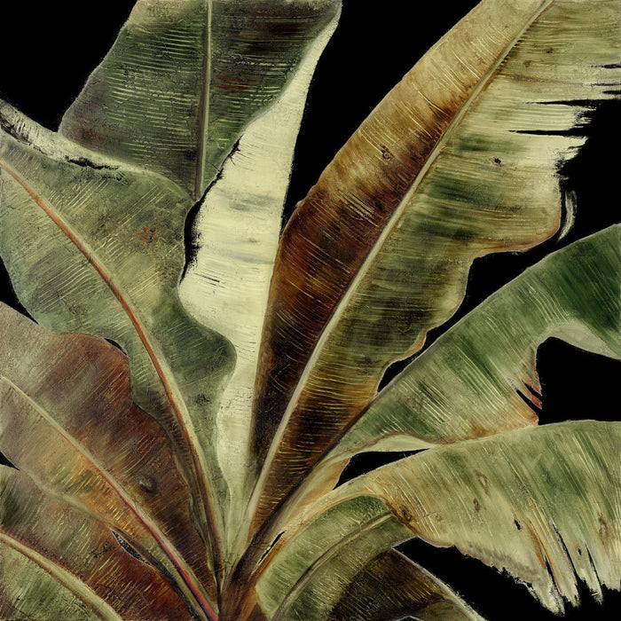 Uraba Palm On Black I By Patricia Pinto (Framed) - Green