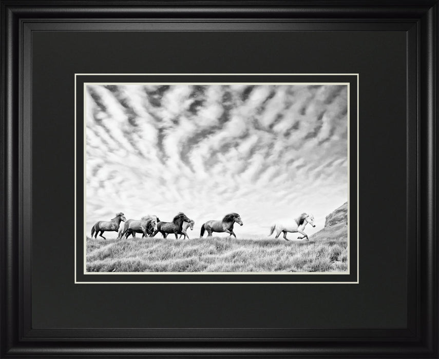 Horse Run III By PHBurchett - Pearl Silver