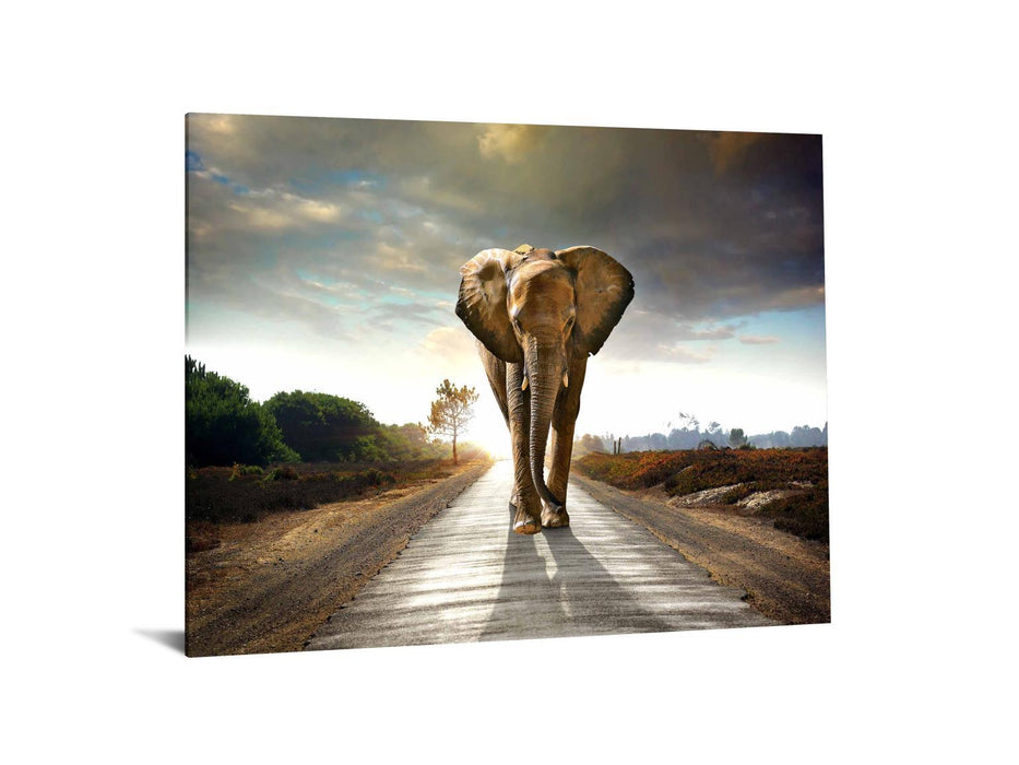 Floating Tempered Glass With Foil Elephant On The Road - Dark Gray