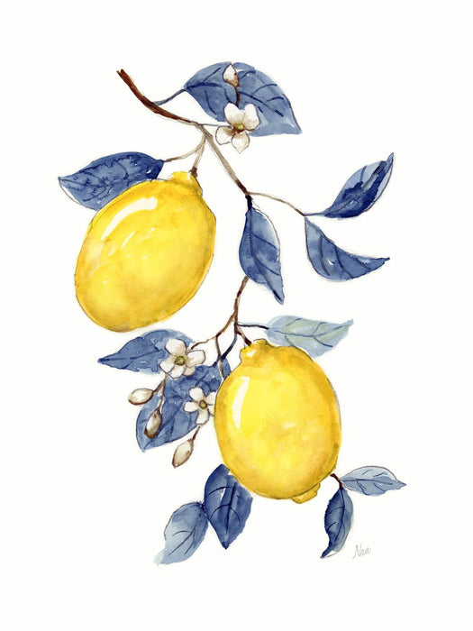 Framed - Odyssey Lemons II By Nan - Yellow