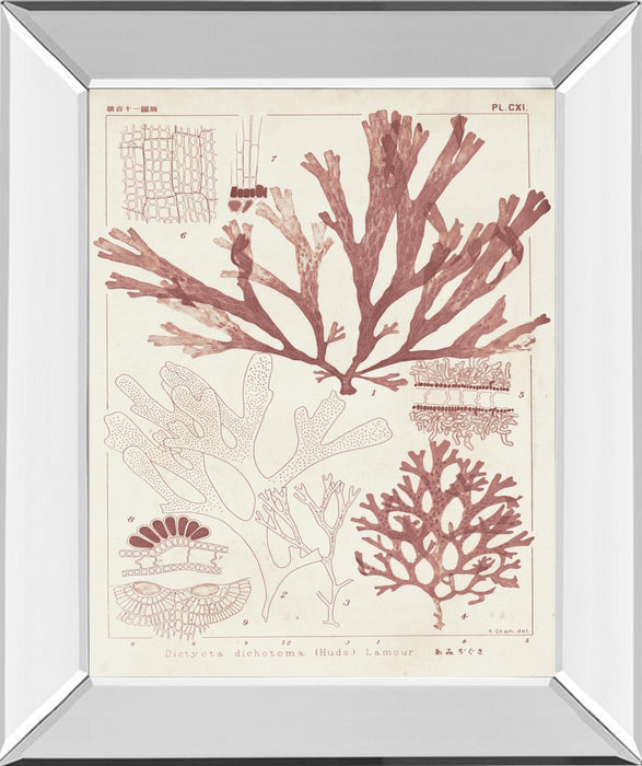 Antique Coral Seaweed IV By Vision Studio - Pink