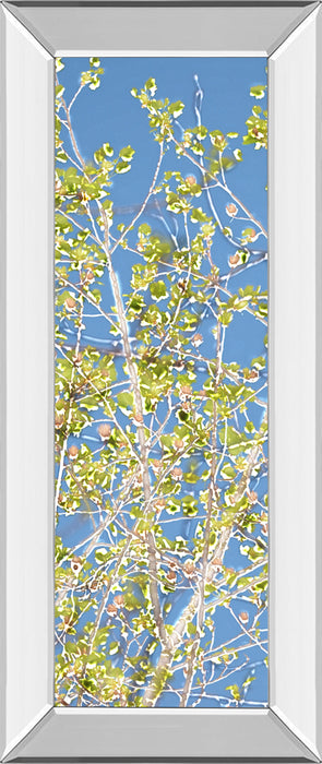 Spring Poplars Il By Sharon Chandler - Mirror Framed Print Wall Art - Green