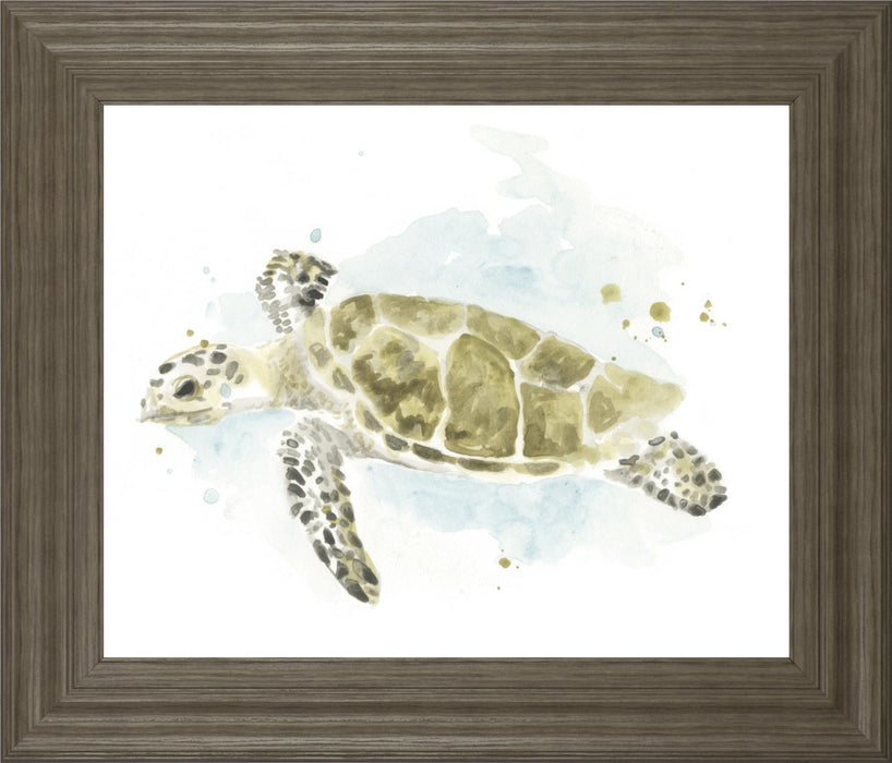 22x26 Watercolor Sea Turtle Study II By June Erica Vess - Dark Green