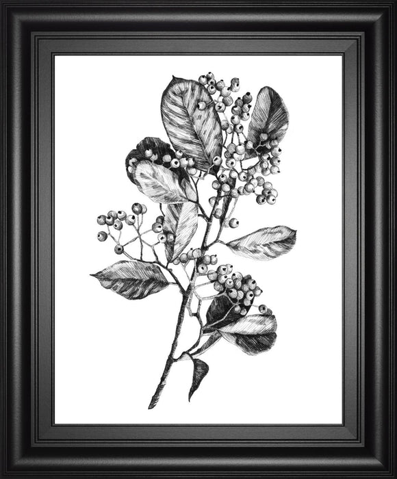 22x26 Hawthorn Berry Branch I By Emma Scarvey - Black
