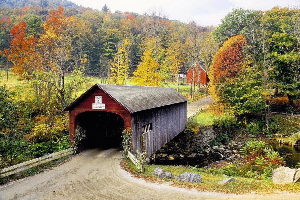 Vermont Covered Bridge By Danita Delimont (Framed) (Small) - Dark Green