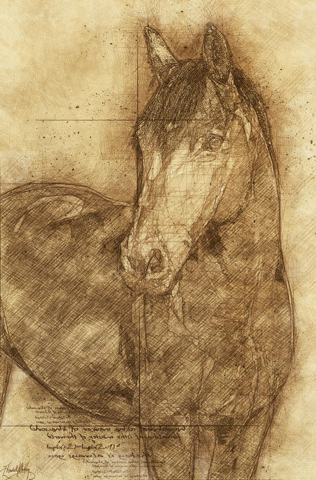 Framed - Sketched Horse By Elizabeth Medley - Light Brown