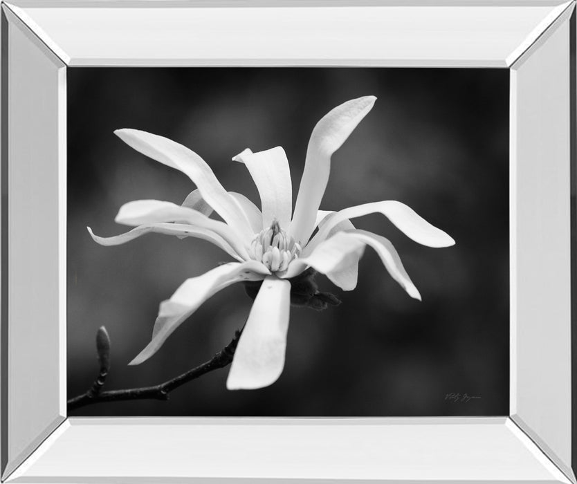 Magnolia Dreams I By Geyman Vitaly - Mirror Framed Print Wall Art - White