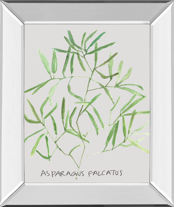 Asparogus Falcatus By Katrien Soeffers - Mirror Framed Print Wall Art - Green