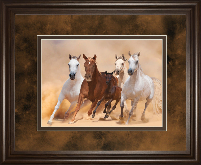 Horses In Dust By Loya_ya - Framed Print Wall Art - Dark Brown