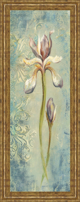 Floral Xi By Lee Hazel - Framed Print Wall Art - Blue