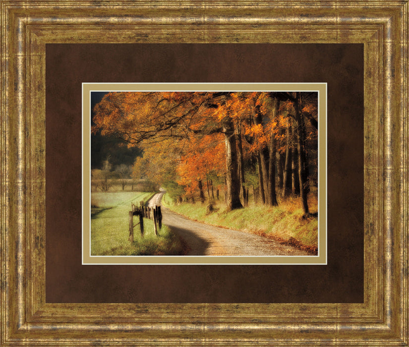 Autumns Morning Light By D. Burt - Framed Print Wall Art - Orange