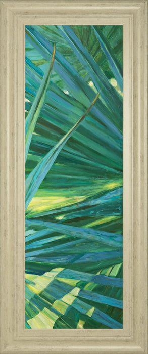 Fan Palm II By Suzanne Wilkins - Framed Print Wall Art - Green