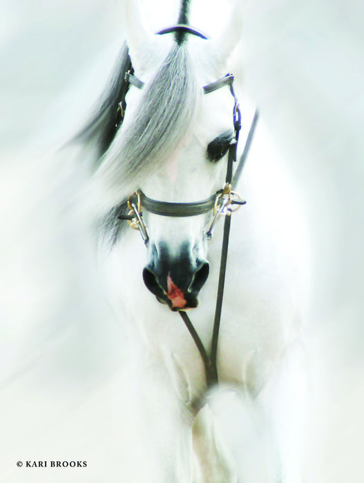 Small - Dream Horse By Kari Brooks - White