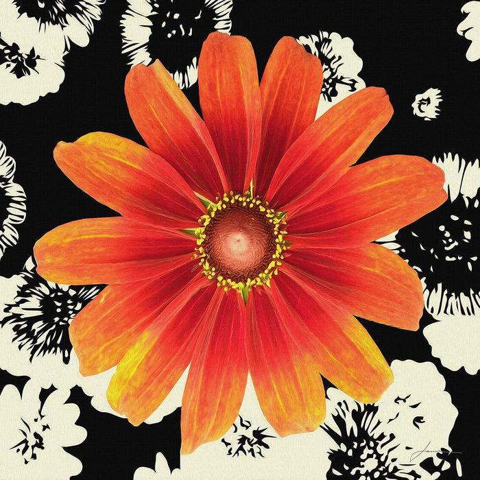 Black And Bloom II By James Burghardt - Orange