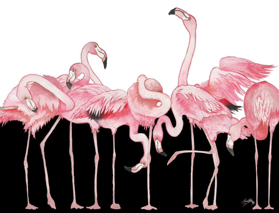 Black And White Meets Flamingos By Elizabeth Medley (Framed) (Small) - Pink