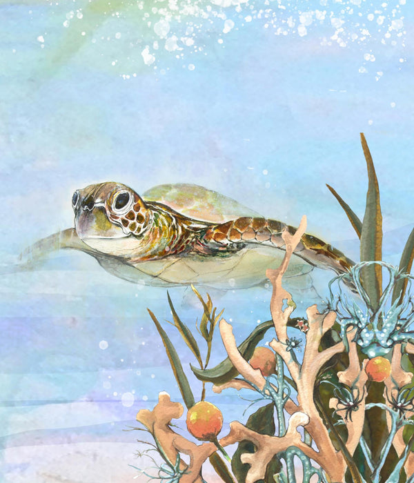 Turtle By The Reef II By Diannart (Framed) - Light Blue