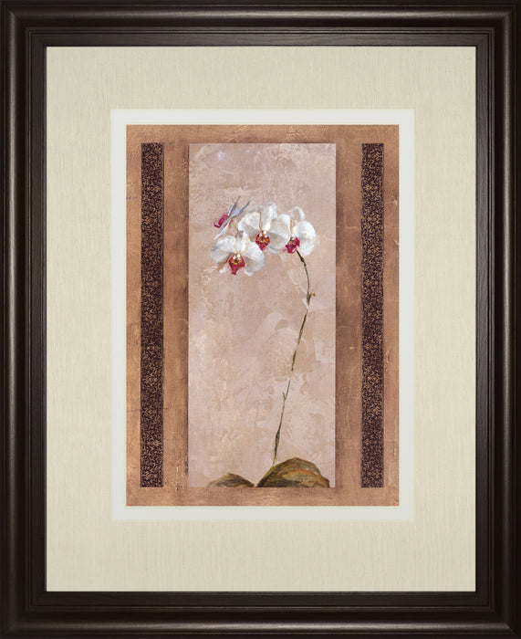 Contemporary Orchid Il By Carney - Framed Print Wall Art - Pink