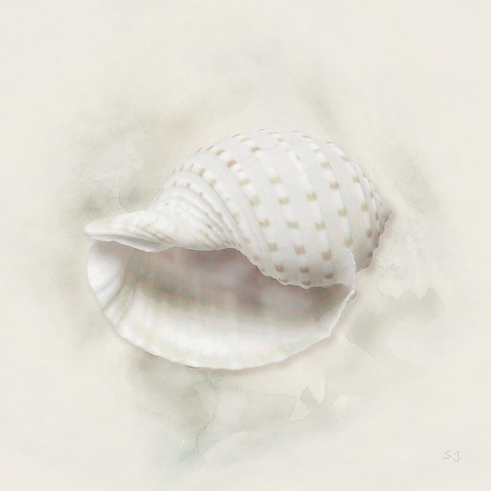 Soft Sand And Shell Iv By Susan Jill (Framed) - Beige