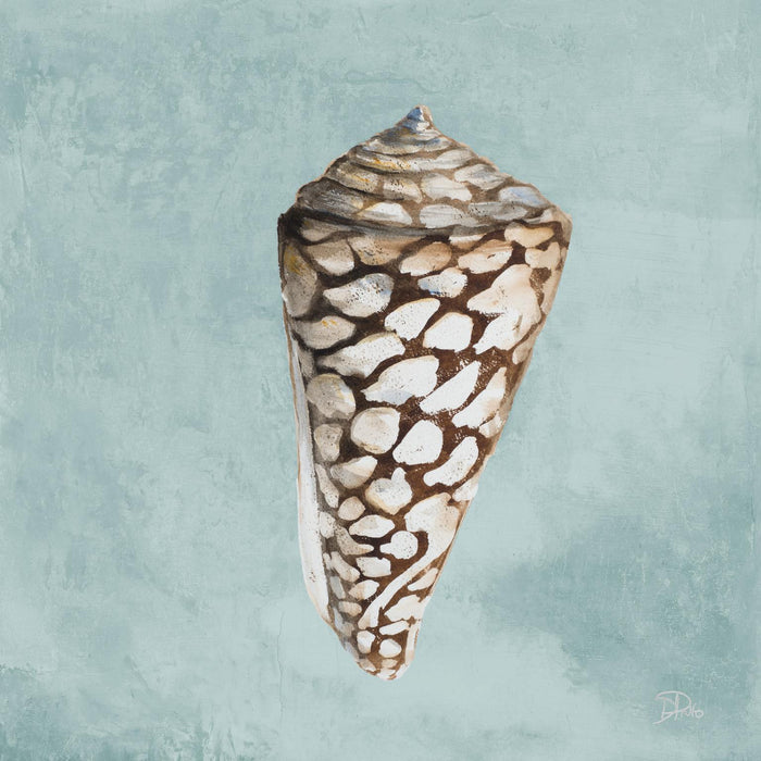 Framed Small - Modern Shell On Teal II By Patricia Pinto - Light Blue