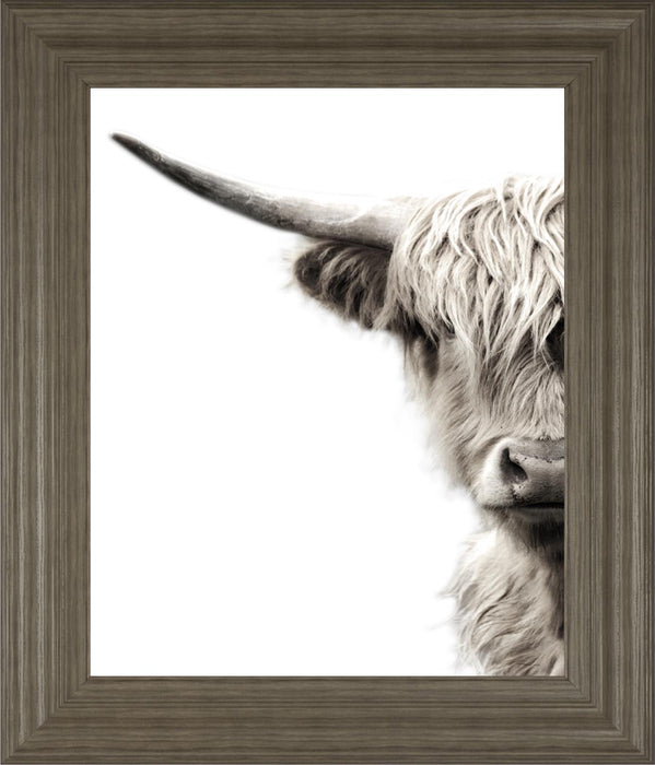 22x26 Highland Cattle By Danita Delimont - Dark Gray