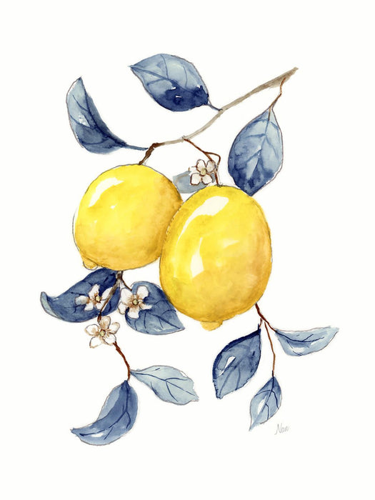 Framed - Odyssey Lemons I By Nan - Yellow