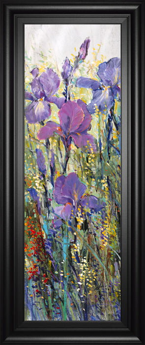 Iris Field I By Tim Otoole - Framed Print Wall Art - Purple