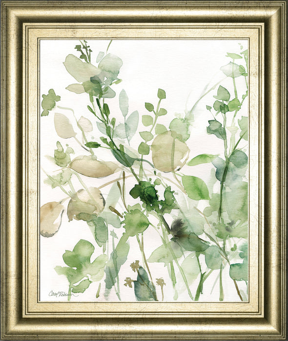 Sage Garden II By Carol Robinson - Framed Print Wall Art - Green