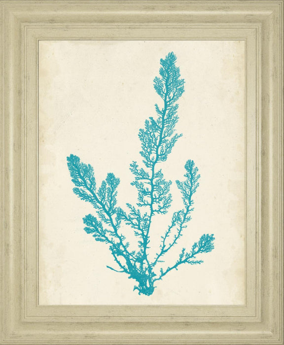22x26 Aquamarine Seaweed VI By Vision Studio - Light Blue