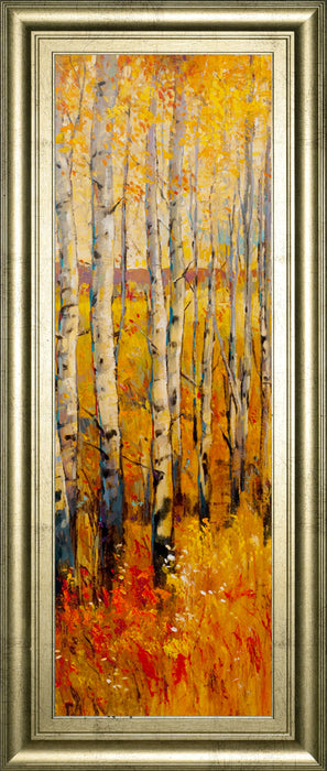 Vivid Birch Forest Il By Tim Otoole - Framed Print Wall Art - Orange