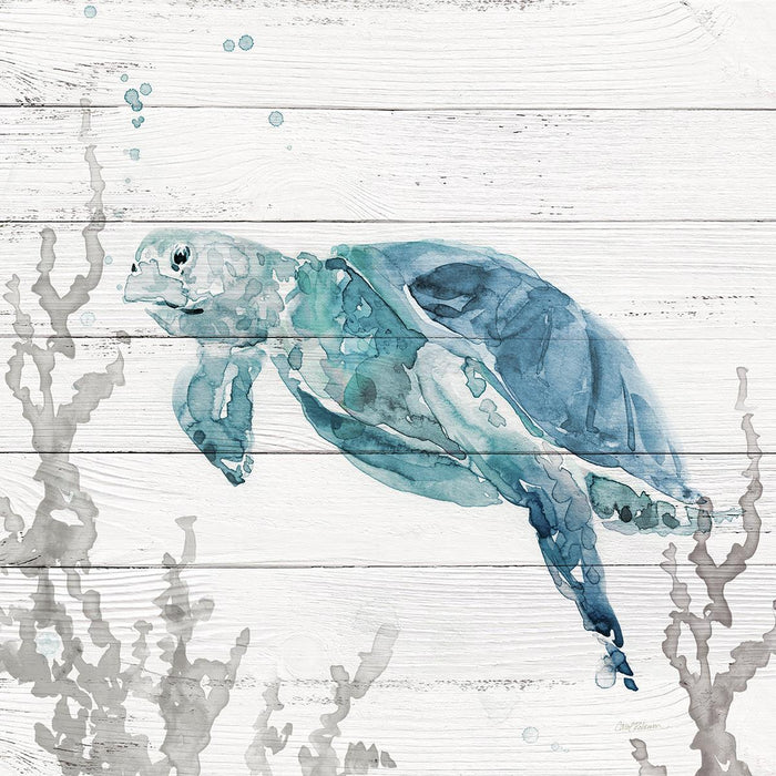 Aqua Turtle II By Carol Robinson (Framed) (Small) - Light Blue