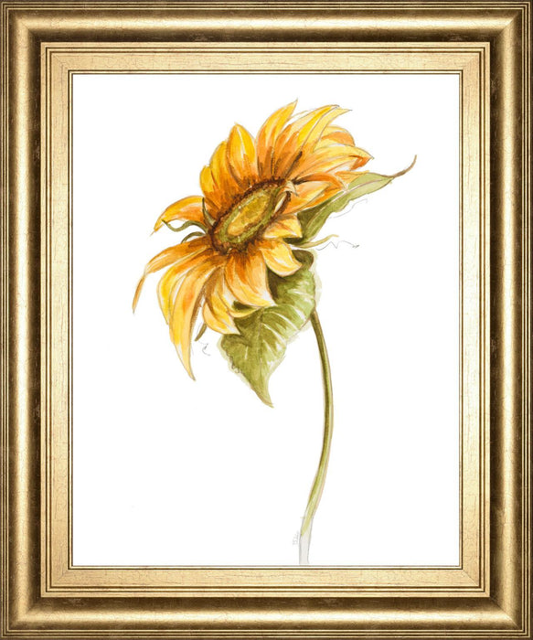 22x26 Harvest Gold Sunflower I By PatriciaPinto - Yellow