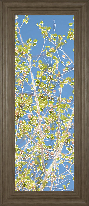 Spring Poplars Il By Sharon Chandler - Framed Print Wall Art - Green