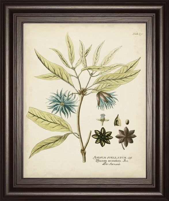 22x26 Eloquent Botanical III By Vision Studio - Green