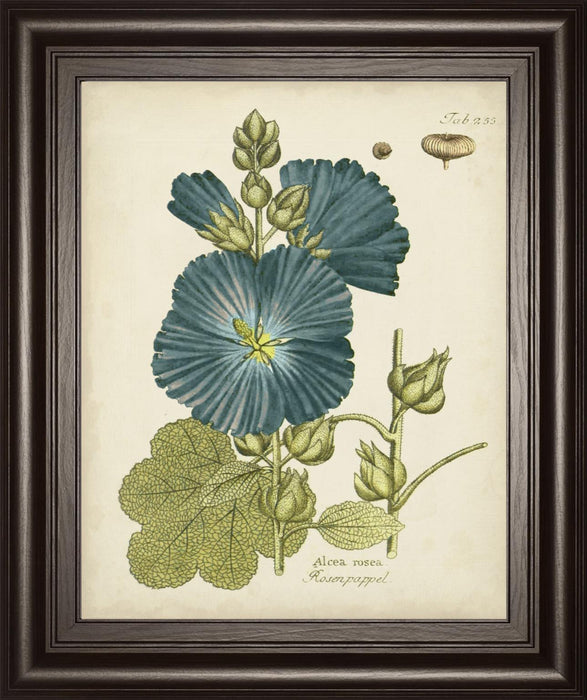 22x26 Eloquent Botanical IV By Vision Studio - Blue