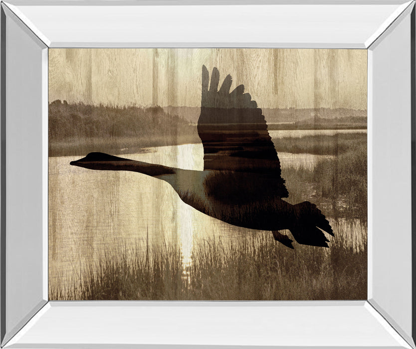 Journey By Tania Bello - Mirror Framed Goose Photo Print Wall Art - Black