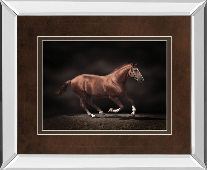 Stallion On Black By Edoma Photo - Mirror Framed Print Wall Art - Dark Brown