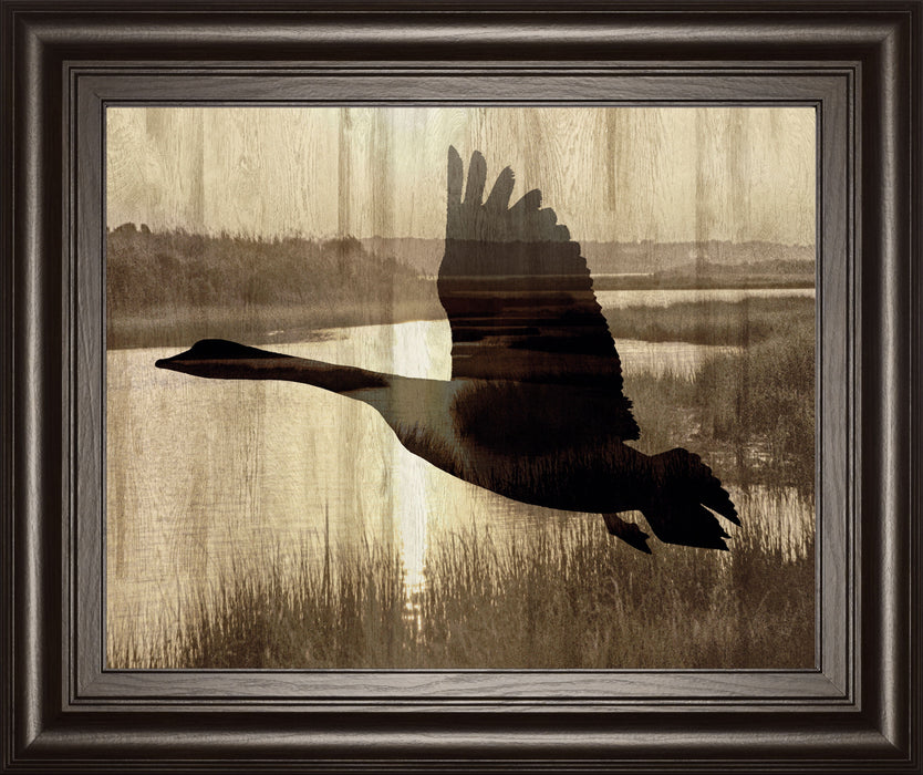 Journey By Tania Bello - Framed Goose Photo Print Wall Art - Black